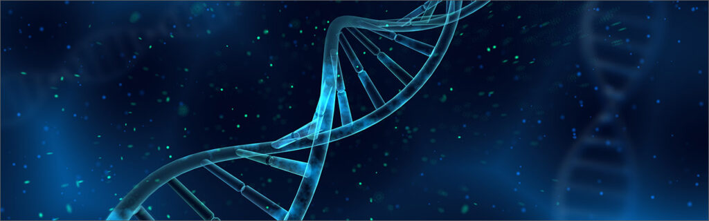 Image of DNA Strand. The DNA sections represent the necessary components for Great Leads.