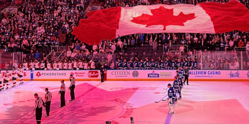 Enjoying Hockey Night